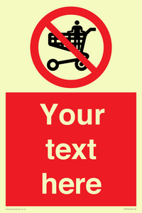 Custom prohibition no standing in trolley